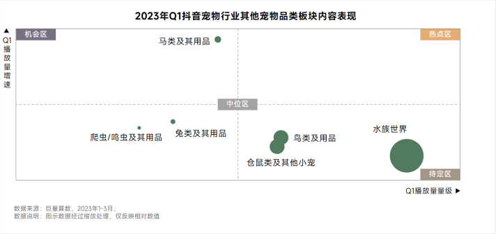 异宠，一场年轻人的单向奔赴