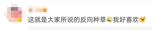 LV蟑螂包，吓哭广东人