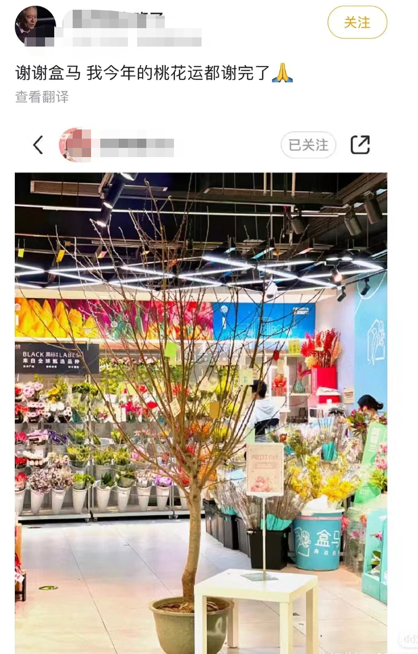 盒马的猪,把刘畊宏女孩卷疯了!