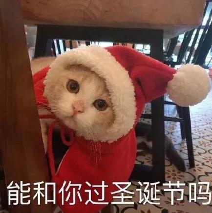 除了年年刷脸的诚哥,我更想聊聊平安夜里被遗忘的他