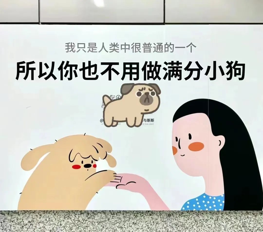 看哭全网的小狗广告翻车?反转来得太突然!