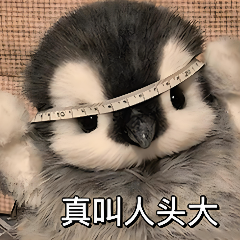 揭秘DeepSeek天价薪资:95后应届生年薪百万背后,藏着中国职场最残酷的潜规则