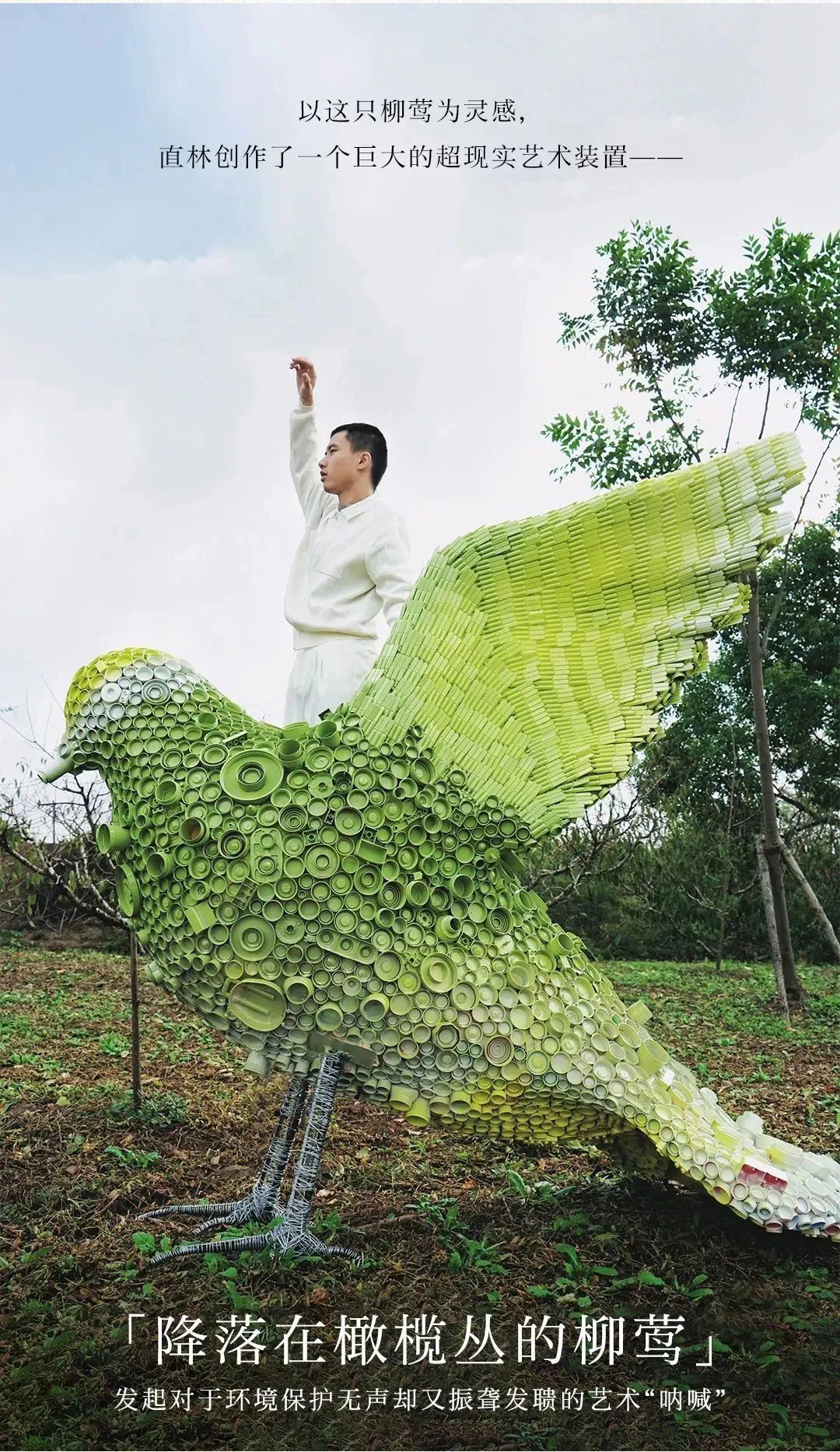携手艺术家“复活”一只鸟?一叶子与地球展开对话