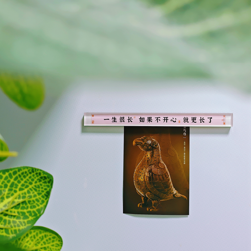 情绪不好的时候,总会被这句话拯救