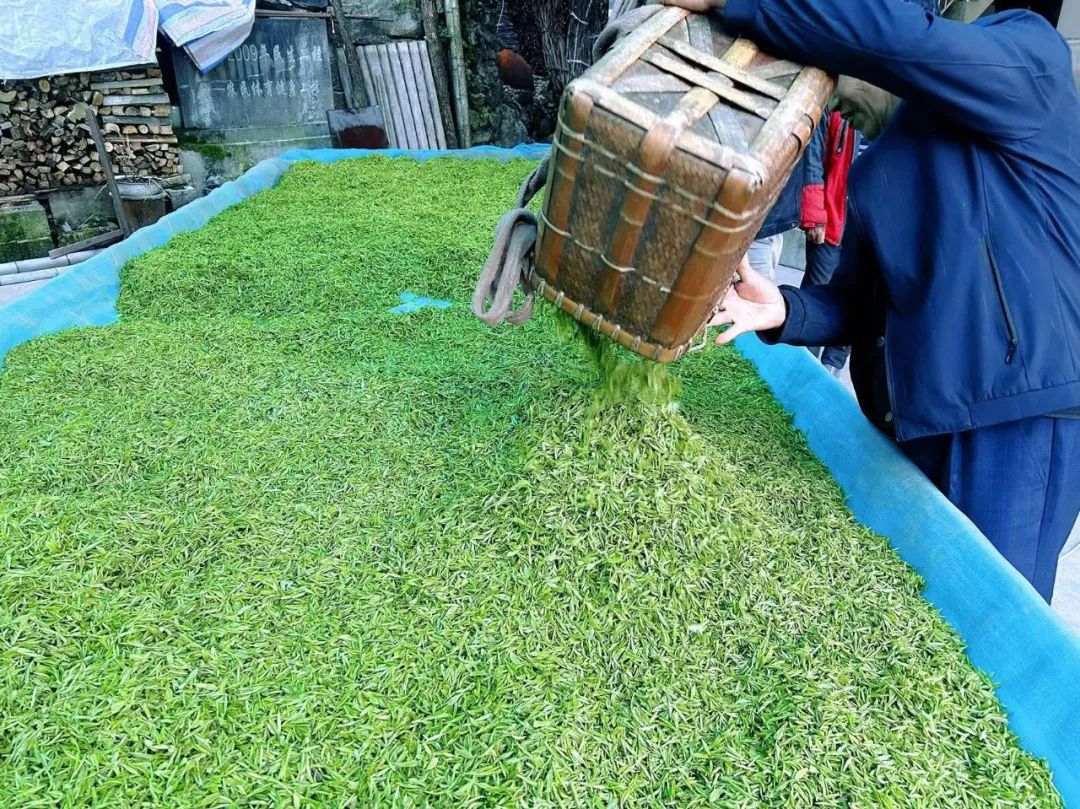普通人不要去卖茶,注定赚不到钱。