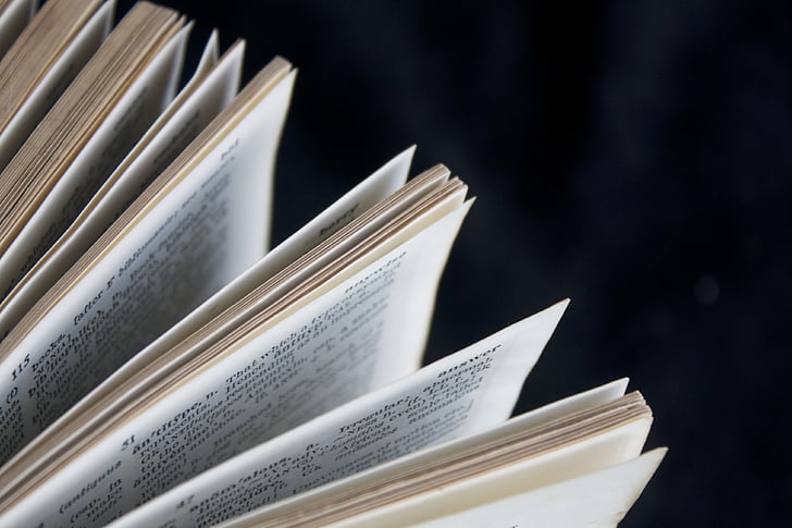 book-book-pages-reading-pages-preview.jpg