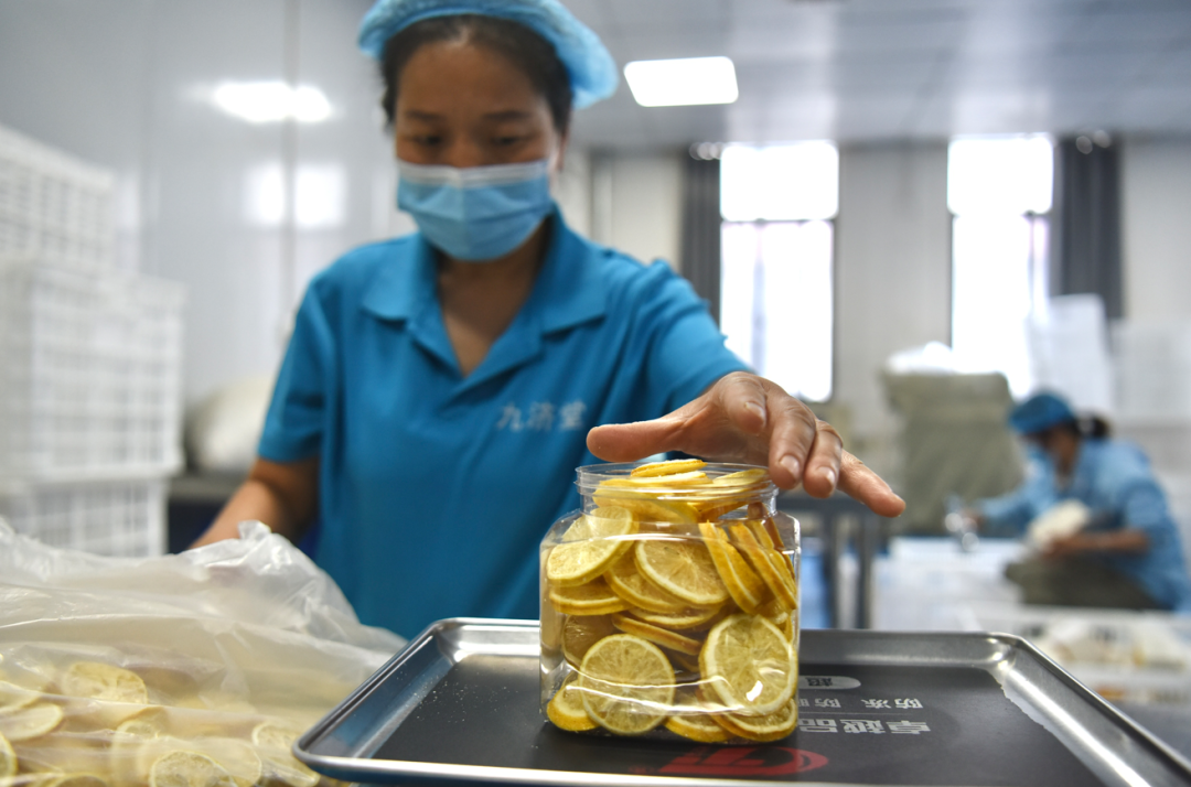 探秘亳州模式:花草茶产业在拼多多狂奔的5年