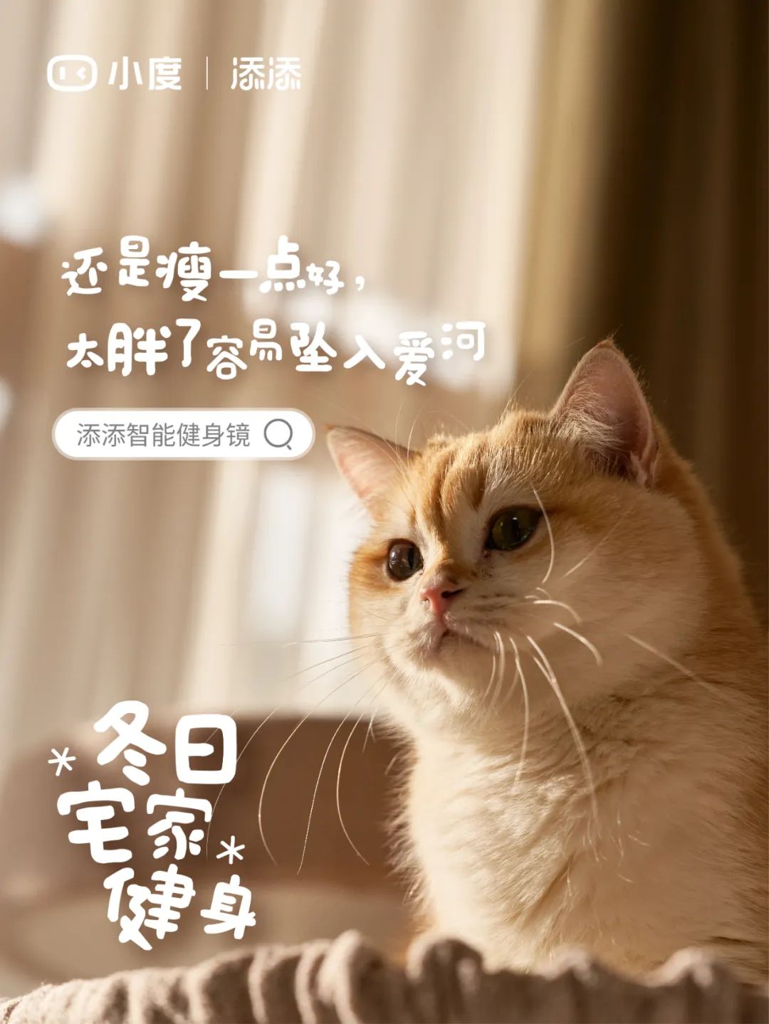 请把所有广告都拍成这样!