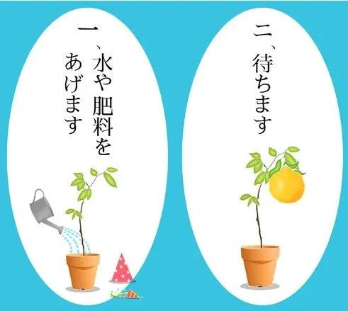 《猫咪后院》出续作啦!还记得这些可爱的哈基米吗?