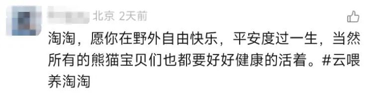 大熊猫保护日,淘宝拍了一支让人爱心爆棚的皮影戏
