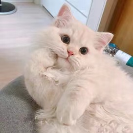 微信图片_20210408214429.jpg 微信图片_20210408214429.jpg