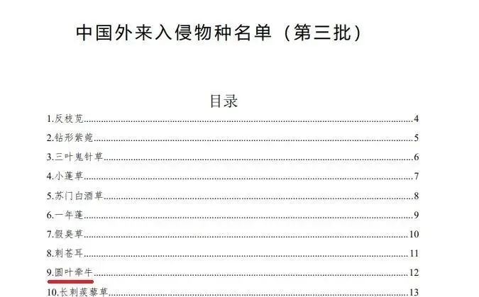 百雀羚「违规」冲上热搜，口碑没塌反而销量大增