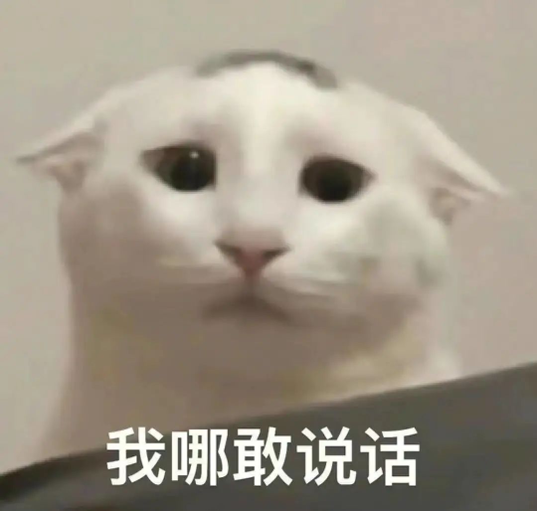靠直播逆转口碑？张大大算是把&ldquo;人设营销&rdquo;玩明白了