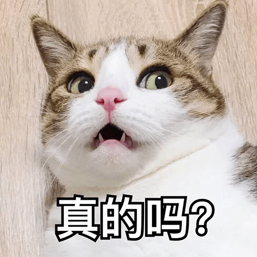 带了4000+职场人,成功率最高的求职方法终于被我找到了。