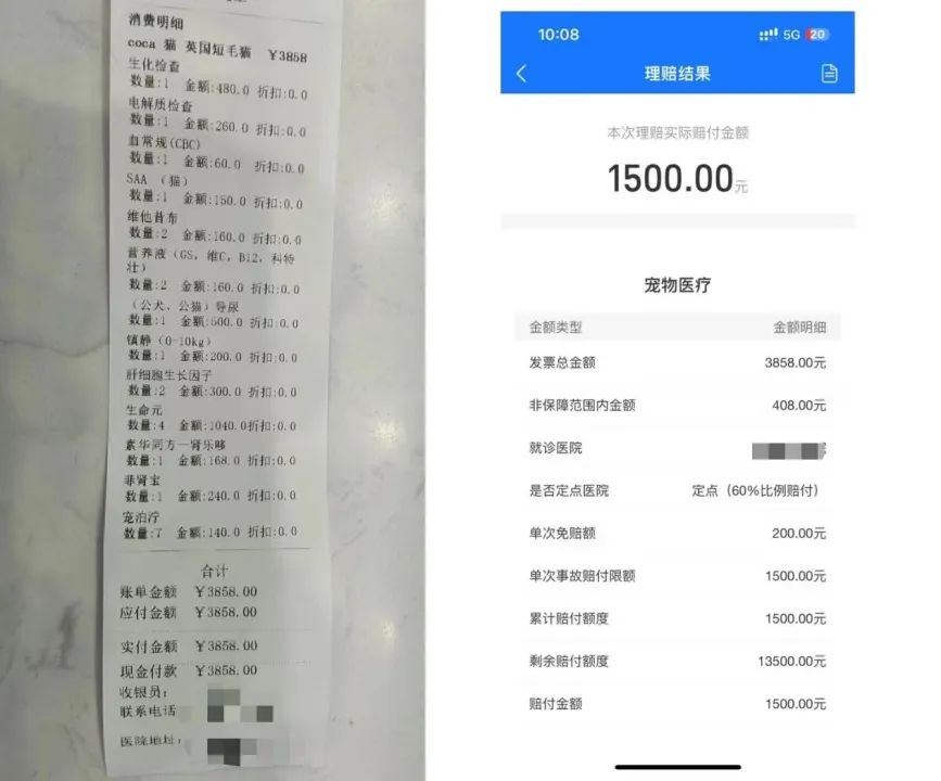 被宠物险收割,铲屎官又上了一课