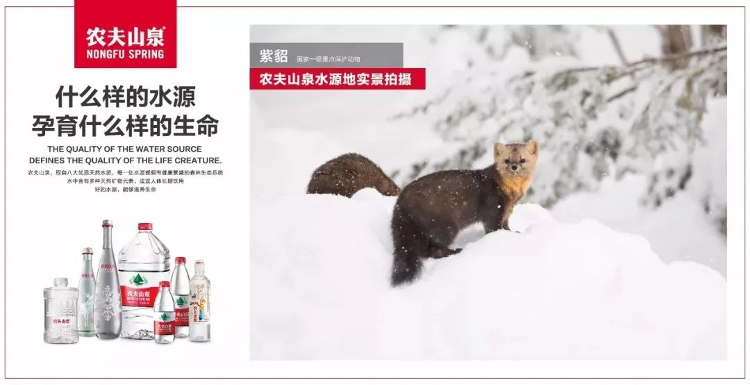 农夫山泉,依旧惊艳!
