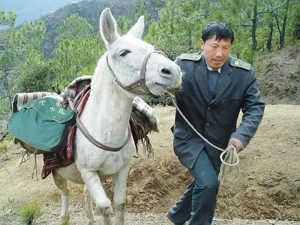 “邮政确实垃圾”,承受无数骂名,配送无数无人问津...
