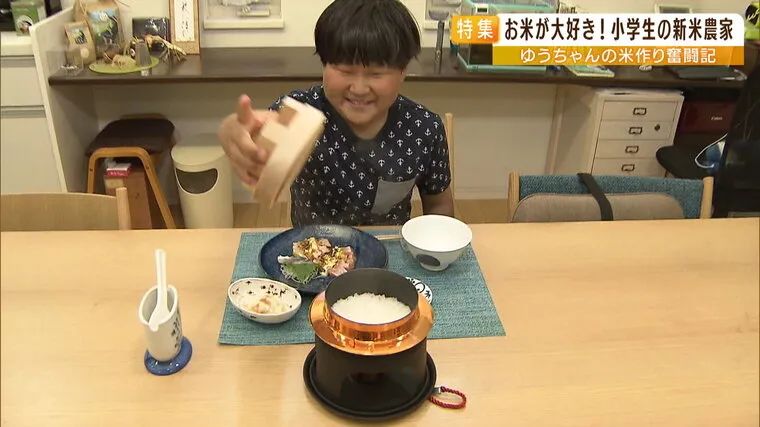 日本9岁小学生暑假租600㎡地，学会了种田，实现吃米饭自由！网友：动手能力比我强1000倍！