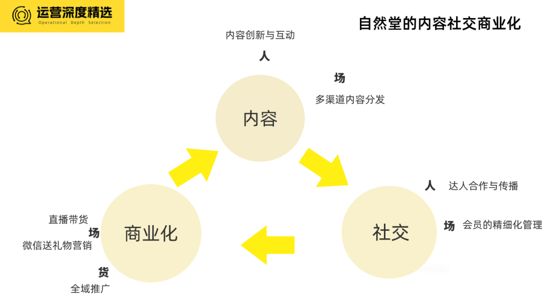 2024品牌全域经营年度十大案例（下）丨年终复盘