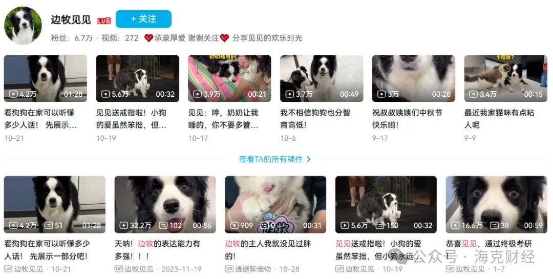 宠物博主商业化迷局