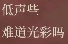 全网播放量超5亿,这届年轻人“偷感很重”