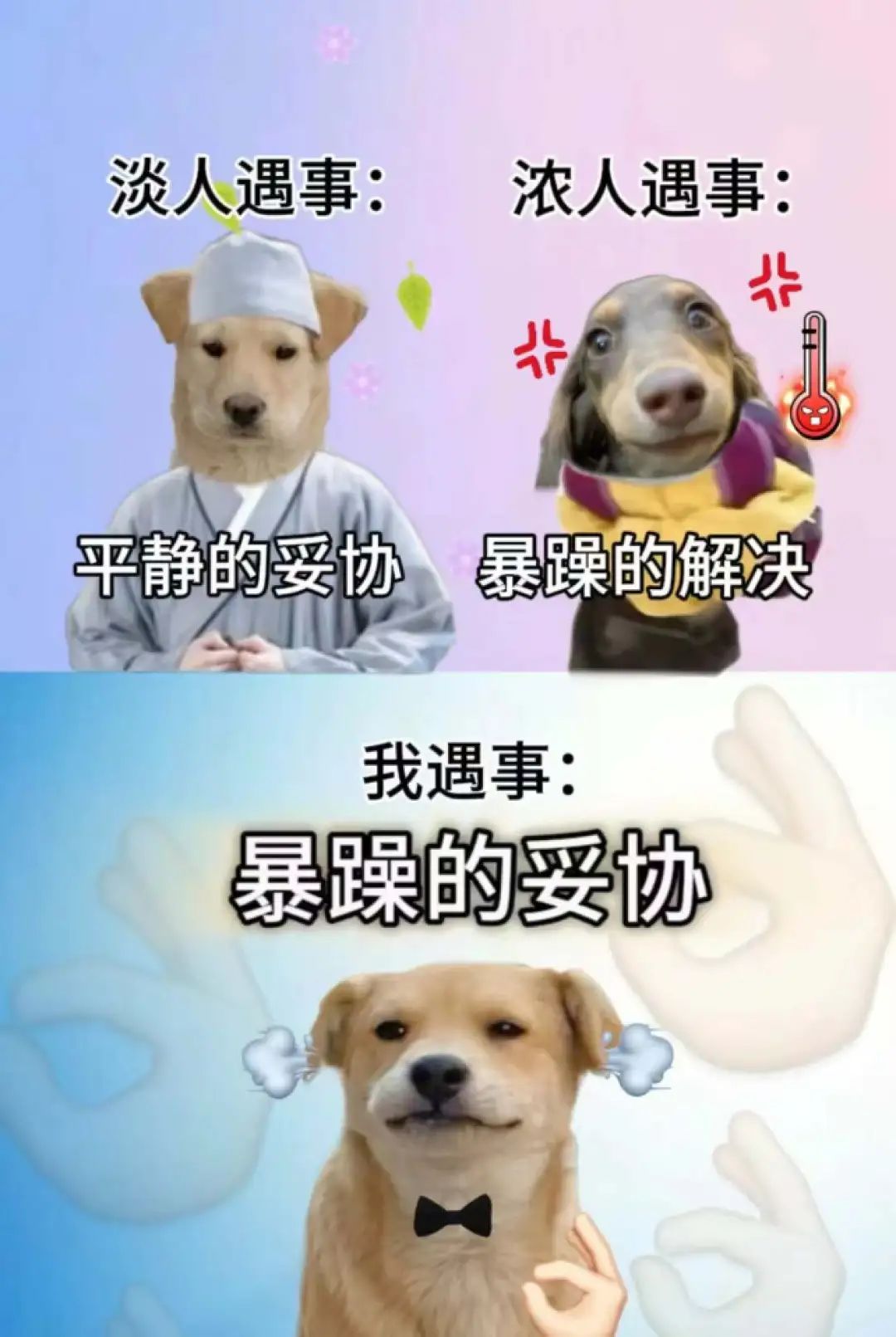 全网播放量超5亿,这届年轻人“偷感很重”