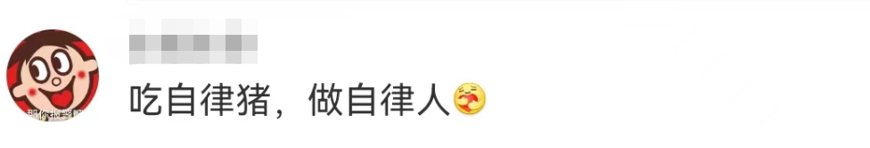 盒马的猪,把刘畊宏女孩卷疯了!