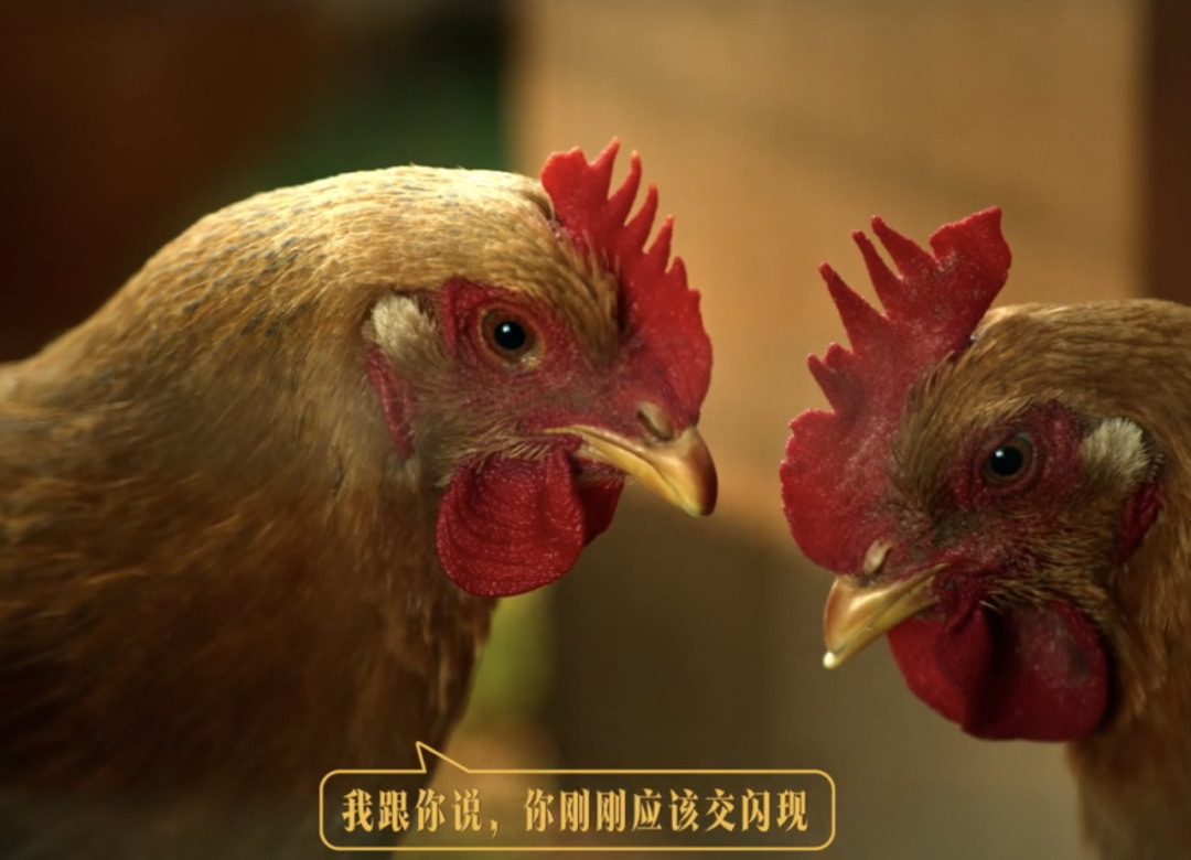 JDG夺冠电竞破圈,伊利用热爱拉满陪伴力