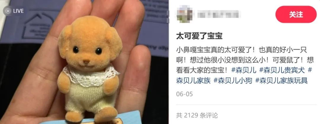 沉迷毛茸茸,是新一代年轻人的“口红经济”
