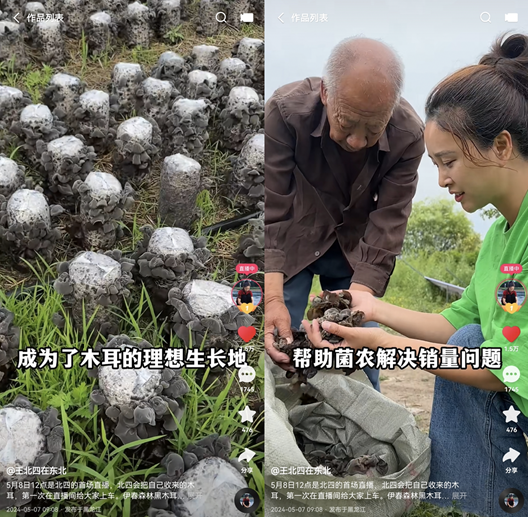 四川媳妇在东北带货首秀GMV近千万,快手三农“带货一姐”出现了?