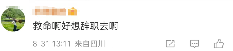 椰树招聘又火了!网友:缅北看到都自愧不如