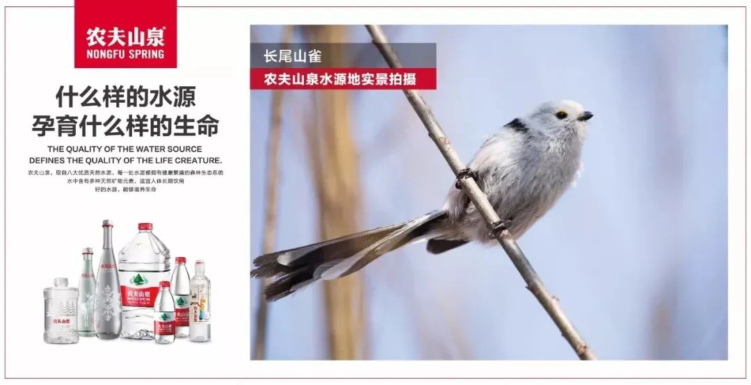 农夫山泉,依旧惊艳!