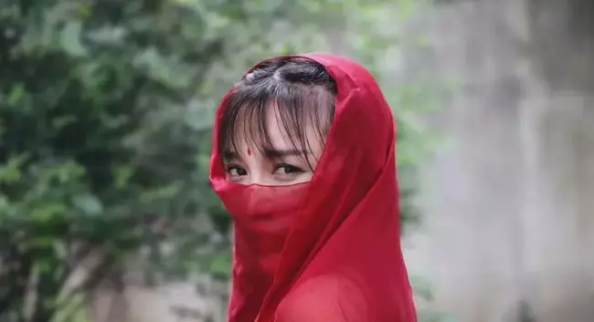 李子柒,赢了!