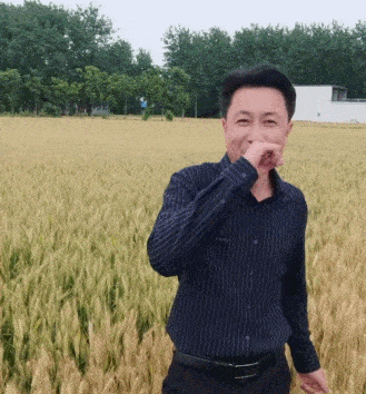 为了老baby们手机里的秘密,我研究了100个中老年抖音号