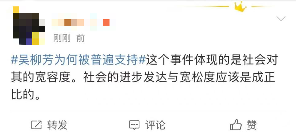 网友们给吴柳芳单开了一套&ldquo;道德标准&rdquo;