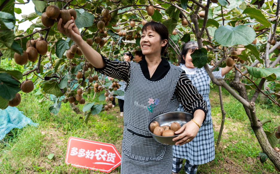 多多跨境是如何点燃拼多多增长新引擎的?