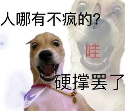靠直播逆转口碑？张大大算是把&ldquo;人设营销&rdquo;玩明白了