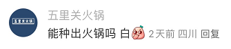 爆梗不断的评论区,品牌营销的新场域