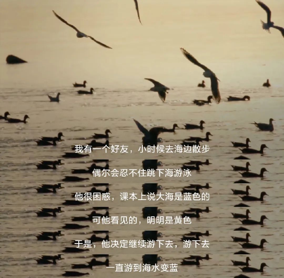 脱离华为两年后,荣耀 x 贾樟柯讲述自己“第二年”