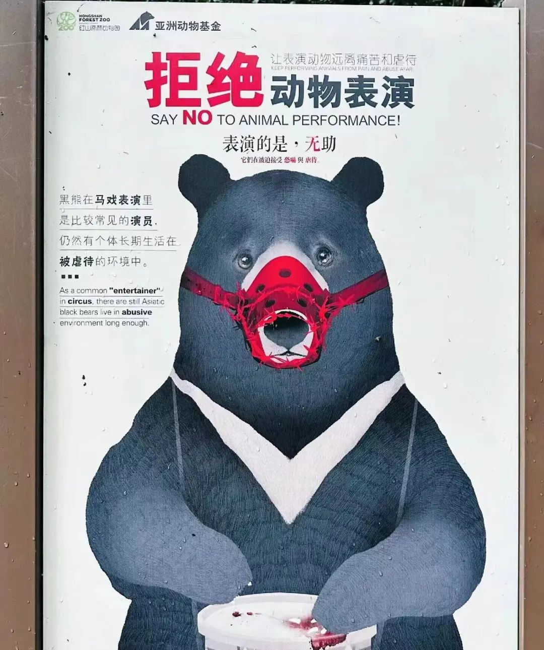 动物园怎么逆袭成了顶流? | 文旅专题02