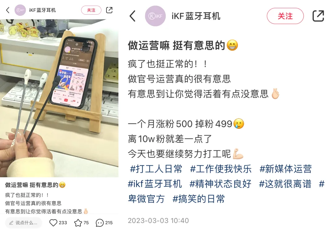 00后官号运营，正在用猫meme勇闯职场