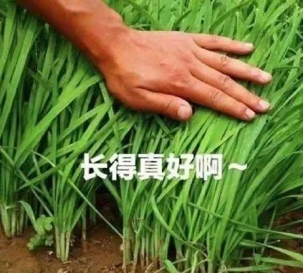 绩效被玩出花了,难怪打工人都不喜欢绩效,都是有原因的!