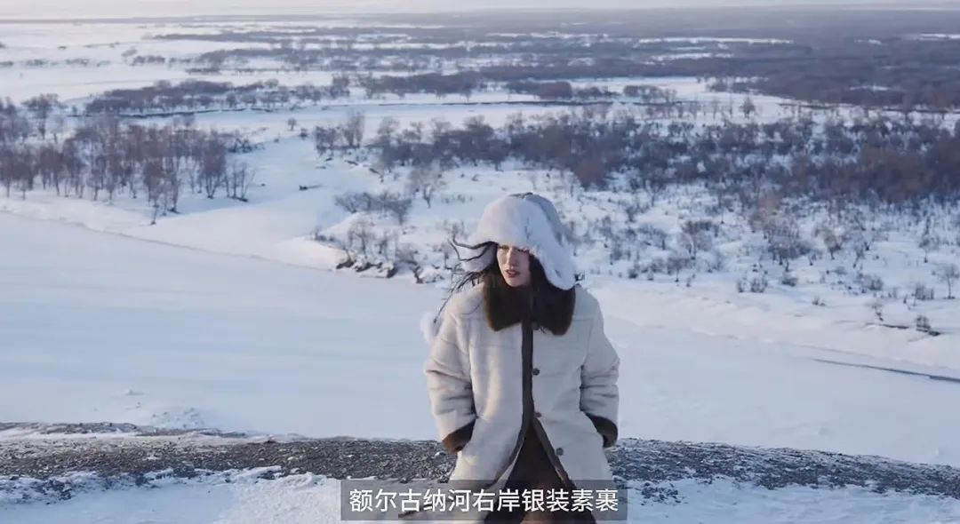 如何突围CNY大战,金典从一场全平台“有机”狂欢盛宴破局