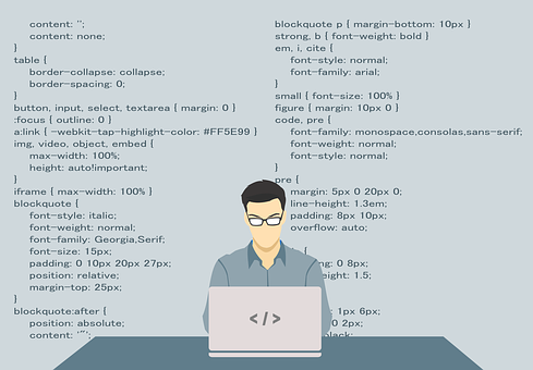 网站programmer-1653351__340.png