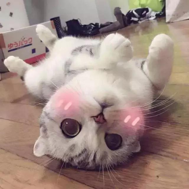 点击查看源网页 点击查看源网页