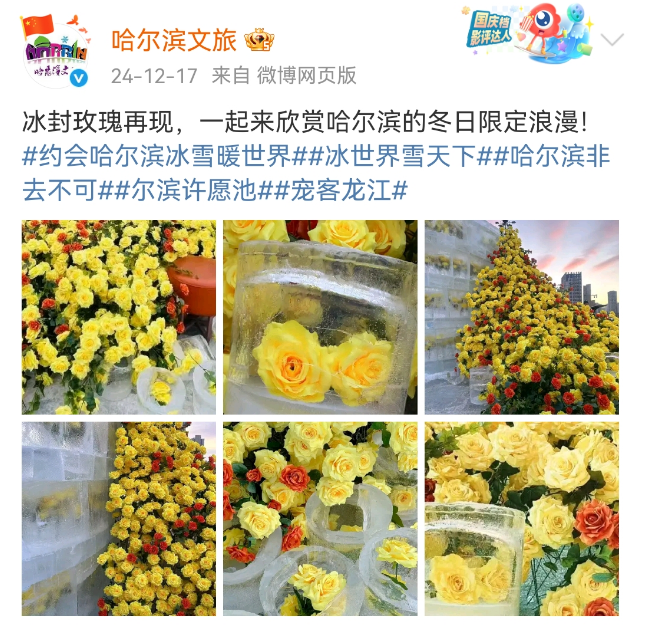 刘亦菲一觉醒来天塌了,全国文旅宣传越来越癫!