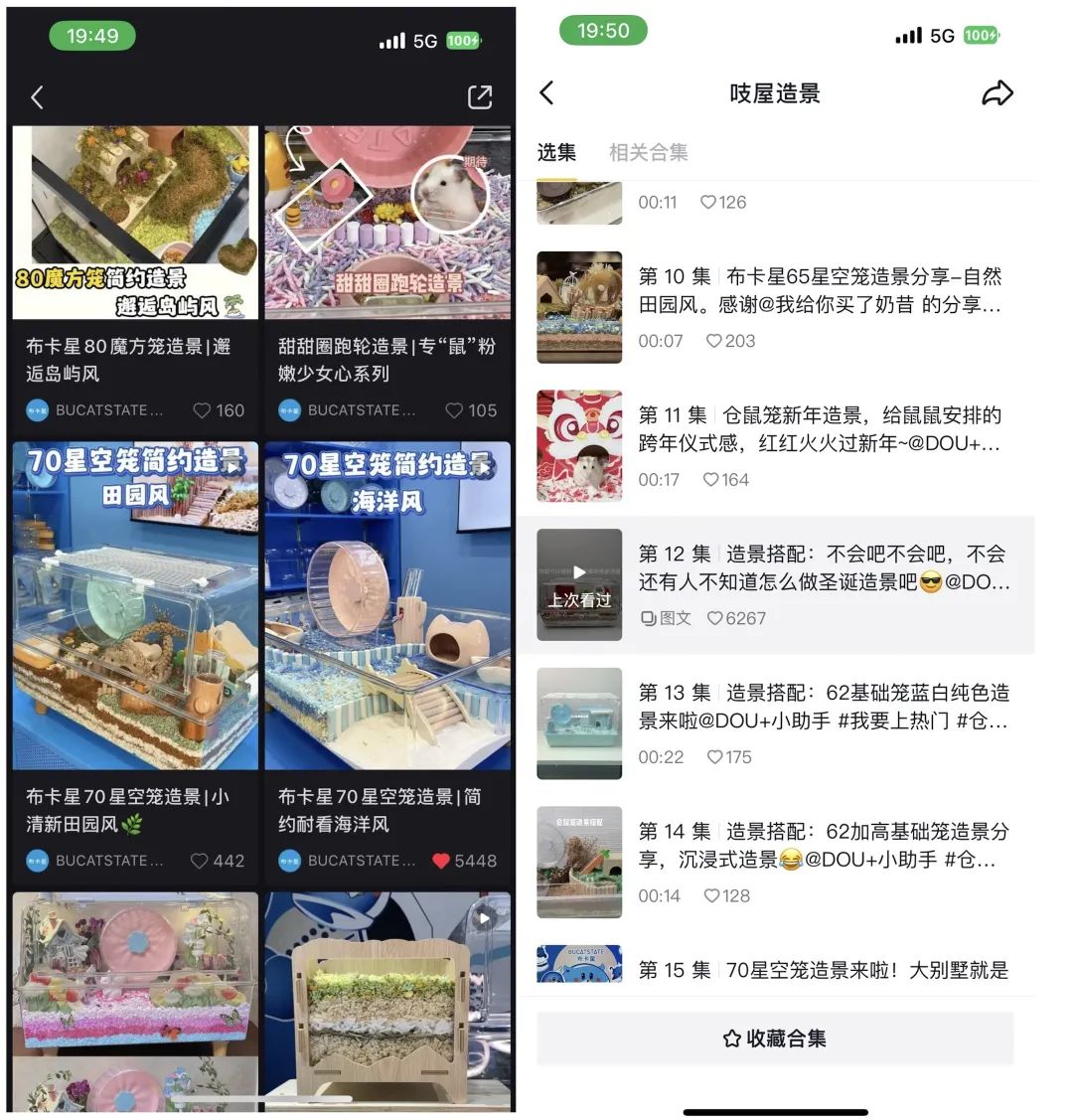宠物界“泡泡玛特”,爆卖800万件+、复购率60%,凭啥?