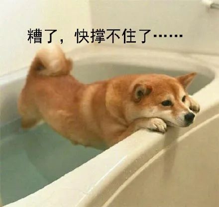 9.9的“穷鬼套餐”爆卖后,汉堡王更惨了!