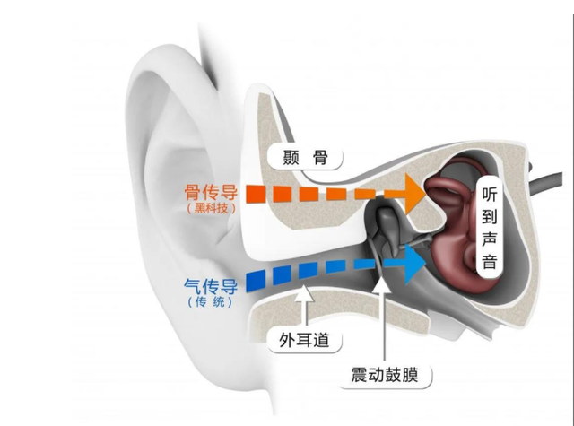 技术路线扩容，韶音的雄心不止于骨传导耳机？