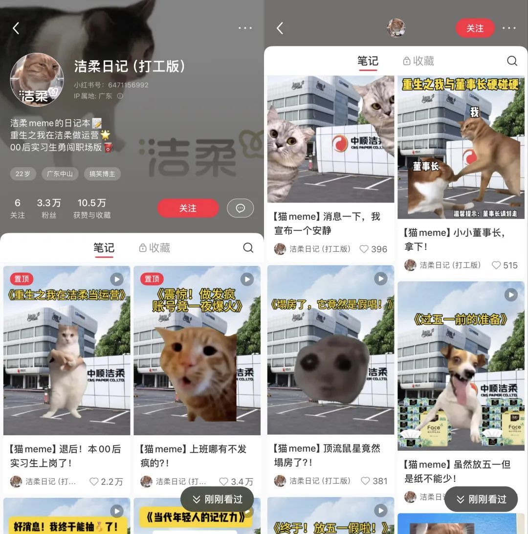 00后官号运营，正在用猫meme勇闯职场